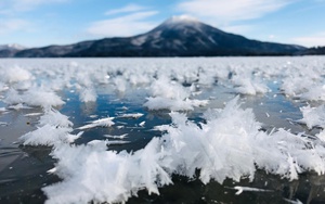 Hình ảnh hồ nở hoa băng ở Nhật