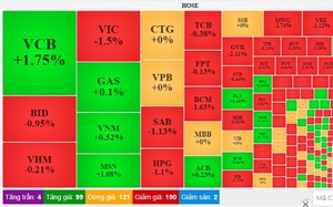 Cổ phiếu IBC của Shark Thủy bất ngờ được giải cứu, VN-Index giảm nhẹ hơn 2 điểm