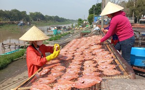 Giá khô cá ở Long An tăng mạnh, loại khô cá nào bán đắt nhất?
