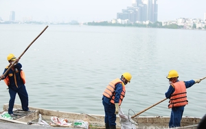 Chuyên gia Nhật Bản chỉ rõ nguyên nhân thật sự cá chết liên tục nổi trắng góc hồ Tây 