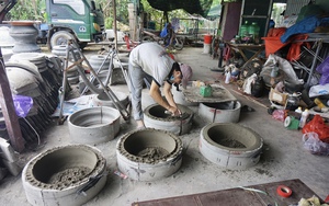 Một con động vật hoang dã, động vật sách Đỏ toàn thân có vảy "đi lạc đường" vào nhà dân ở Đà Nẵng - Ảnh 6.