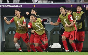 Nếu thắng Brazil ở vòng 1/8 World Cup 2022, Hàn Quốc nhận thưởng 4 tỷ đồng