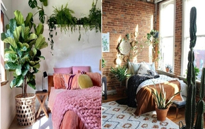 Người xưa dặn: &quot;Phòng ngủ không trồng 7 loại cây cảnh, đầu giường không treo gương&quot;