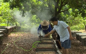Sơn La: Lão nông giàu lên từ nghề nuôi ong