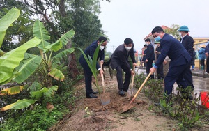 Hội Nông dân huyện Tiên Lãng (Hải Phòng): Phát động Tết trồng cây đời đời nhớ ơn Bác Hồ