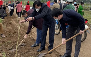 Hội Nông dân tỉnh Hoà Bình: Trồng hàng ngàn cây xanh đầu năm mới