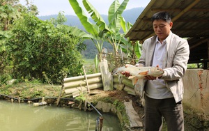 Nông thôn Tây Bắc: Quỹ Hỗ trợ nông dân giúp Phổng Lăng vượt khó