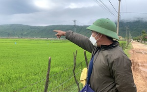 Nhường hết đất, nông dân khắc khoải đợi chờ hình hài siêu dự án Nhiệt điện Quảng Trạch I từng ngày