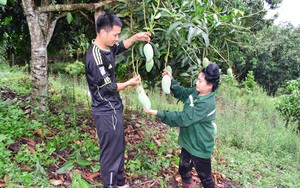 Lên Sơn La nên cẩn thận kẻo 