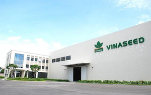 Mở rộng thị trường xuất khẩu, Vinaseed (NSC) báo lãi quý IV tăng 31% lên 92 tỷ đồng
