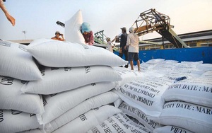 Xuất khẩu gạo tháng 1/2022 tăng 46%