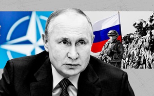 Putin bất ngờ chỉ Ukraine cách kết thúc chiến tranh Donbass