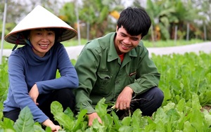 Hà Nội: Vợ chồng tiến sỹ bỏ việc về quê trồng rau sạch