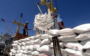 Gạo xuất khẩu của Ấn Độ tắc nghẽn, cơ hội cho Việt Nam bán gạo 