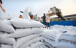 Thị trường gạo biến động mạnh, dự báo &quot;nóng&quot; về giá và xuất khẩu gạo
