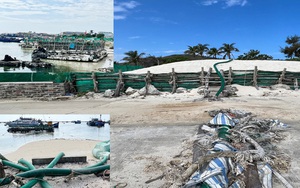 Quảng Ngãi: Cấm cửa bè bơm cát làm ảnh hưởng nạo vét vũng neo đậu 401 tỷ 