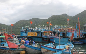 Xăng dầu tăng giá quá mạnh, hàng trăm tàu đánh bắt cá biển ở Khánh Hòa "đắp chăn" nằm bờ