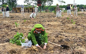 Cục C10 Bộ Công an đặt mục tiêu trồng 1 triệu cây xanh