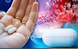 Công bố giá bán lẻ thuốc Molnupiravir điều trị Covid-19 do Việt Nam sản xuất