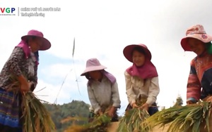 Tăng nguồn lực cho nông thôn để thoát nghèo bền vững