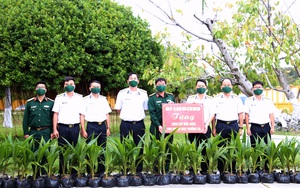 Khánh Hòa: Gửi tặng trên 2 ngàn cây dừa giống cho huyện đảo Trường Sa