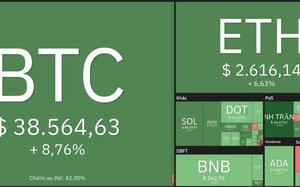 Giá Bitcoin hôm nay 25/2: Bitcoin bị bán tháo, thị trường khó đoán