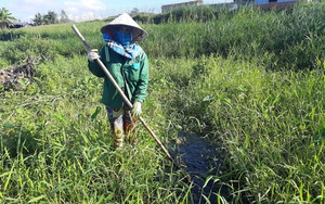 Gia Lai: Dân sống bất an bên nhà máy đường gây ô nhiễm