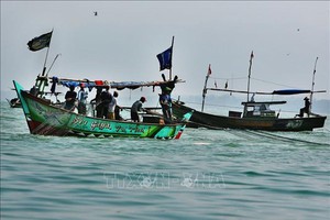 Các công ty khởi nghiệp Indonesia đổ xô đầu tư nuôi trồng thủy sản