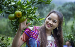 Hotgirl 9X người Mông có vườn chuối lớn nhất Mường Khương chia sẻ kinh nghiệm buôn bán với người Trung Quốc