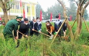 Ninh Bình: Phấn đấu trồng trên 5,5 triệu cây xanh và trên 200 ha rừng