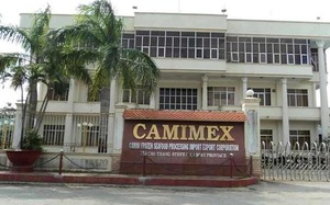 Lần đầu tiên doanh thu Camimex Group (CMX) vượt 2.000 tỷ, lợi nhuận tăng 37%
