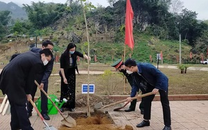 Nông thôn Tây Bắc: Thuận Châu phấn đấu trồng 50.000 cây phân tán