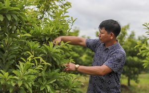 Việt Nam kỳ vọng bán nông sản đi khắp thế giới, thu trên 60 tỷ USD vào năm 2030