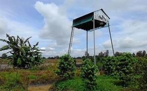 &quot;Độc chiêu&quot; thu hút loài thú biết bay, thích tự do về chuồng ở, nhả ra thứ phân bón bán đắt tiền