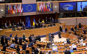 Tổng thống Ukraine phát biểu trước Nghị viện Châu Âu, phiên dịch nấc lên vì xúc động