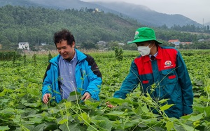 Giá phân bón tăng 200%, nông dân nơi này vẫn ung dung thu lãi lớn nhờ một bí quyết