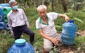 Dùng chiến thuật lạ: “Mỗi gốc cây, vài bình nước”, ông nông dân đưa vườn sầu riêng vượt hạn mặn ngon ơ (Bài 2)