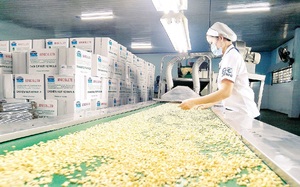 Việt Nam nhập 3,1 triệu tấn một loại hạt, lượng lớn từ Campuchia rồi chế biến bán cho Mỹ, Trung Quốc