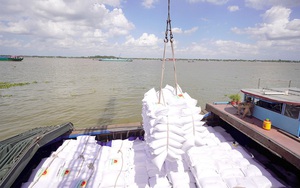 Thế giới mua nhiều nhưng gạo Việt hưởng lợi ít