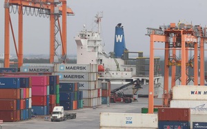 Vụ 100 container hạt điều xuất sang Italia: Bộ Công Thương vào cuộc hỗ trợ doanh nghiệp