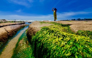 Thả hồn bên tuyệt tác thiên nhiên bãi đá 7 màu "độc nhất vô nhị" ở Bình Thuận