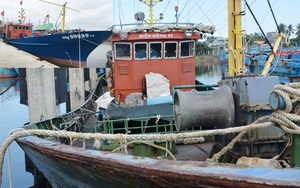 Quảng Ngãi: Làm ăn không trả nổi nợ vay, tàu vỏ thép “khủng” bị đưa ra bán đấu giá