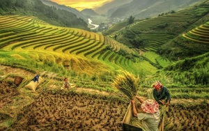 Báo nước ngoài ca ngợi điểm đến vùng cao, du khách không thể bỏ lỡ khi tới Việt Nam