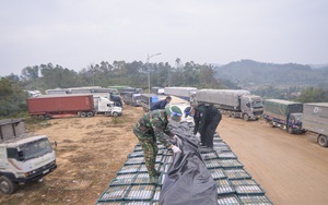 "Trung Quốc là thị trường lớn, ở xa họ còn tìm đến bán, không có lý do gì Việt Nam không bán sang"