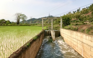 Mai Sơn: Đảm bảo nguồn nước cho trên 1.200 ha lúa xuân