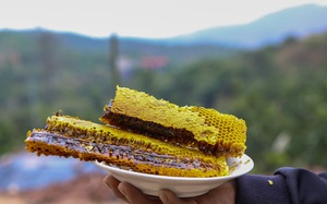 Một ông nông dân Bắc Giang &quot;dụ&quot; ong lên rừng hút mật, tạo ra thứ mật ngọt ngào đặc biệt