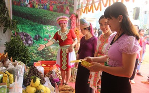 Sơn La sẽ mang 83 sản phẩm OCOP đi "khoe" tại Festival trái cây và sản phẩm OCOP Việt Nam 2022