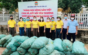 Nghệ An: Kết nối tiêu thụ hơn 5.000 tấn gừng cho nông dân huyện Kỳ Sơn
