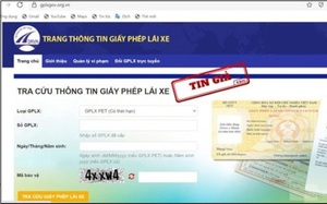 Hàng loạt website giả mạo tra cứ thông tin giấy phép lái xe