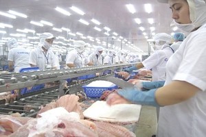 49 doanh nghiệp xuất khẩu cá tra, ca ba sa Việt Nam bị Mỹ áp thuế chống bán phá giá